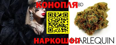 хмурый Канаш