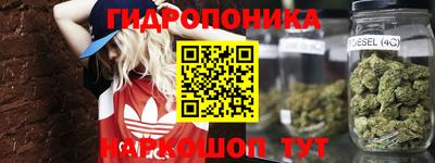 дурь Кандалакша