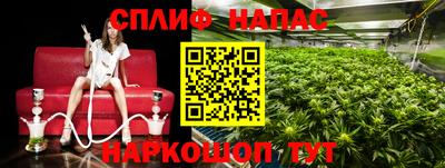хмурый Канаш