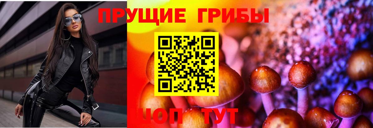Куйбышев  Галлюциногенные грибы GOLDEN TEACHER  Вход с VPN 